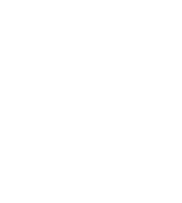 gouvernance